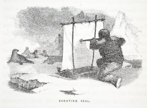 Chasse au phoque, illustration de 
